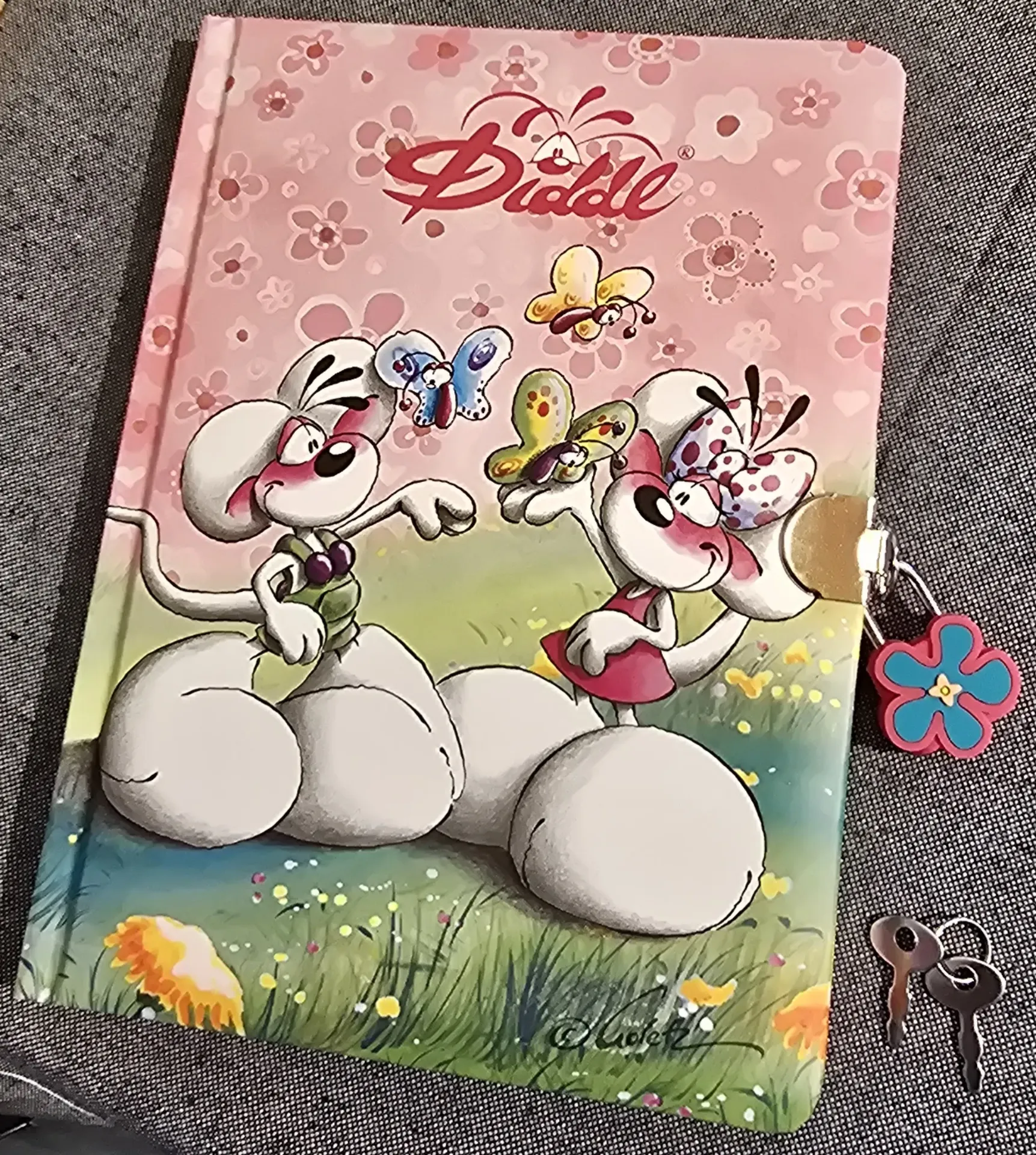 Journal secret Diddl